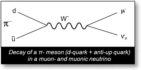 Decay of a pion- to a muon