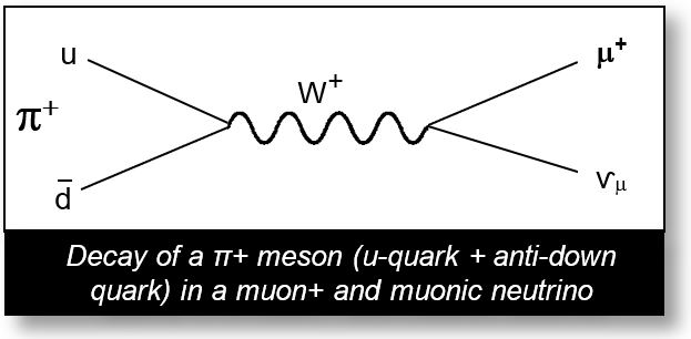 Decay of a pion+ to a muon
